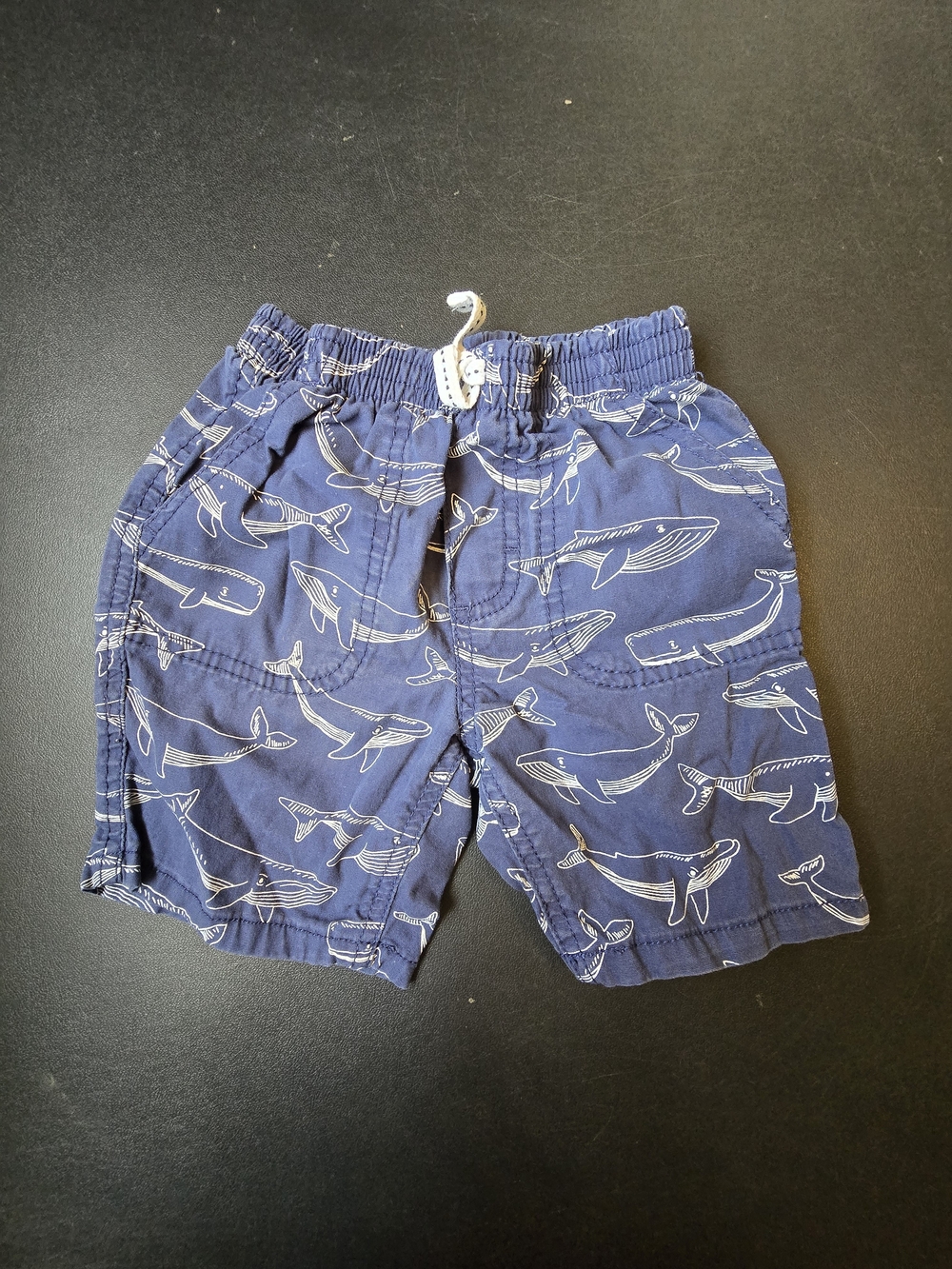 Kids 3T Nautica Navy Whale Print Swim Shorts